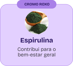 11.webp